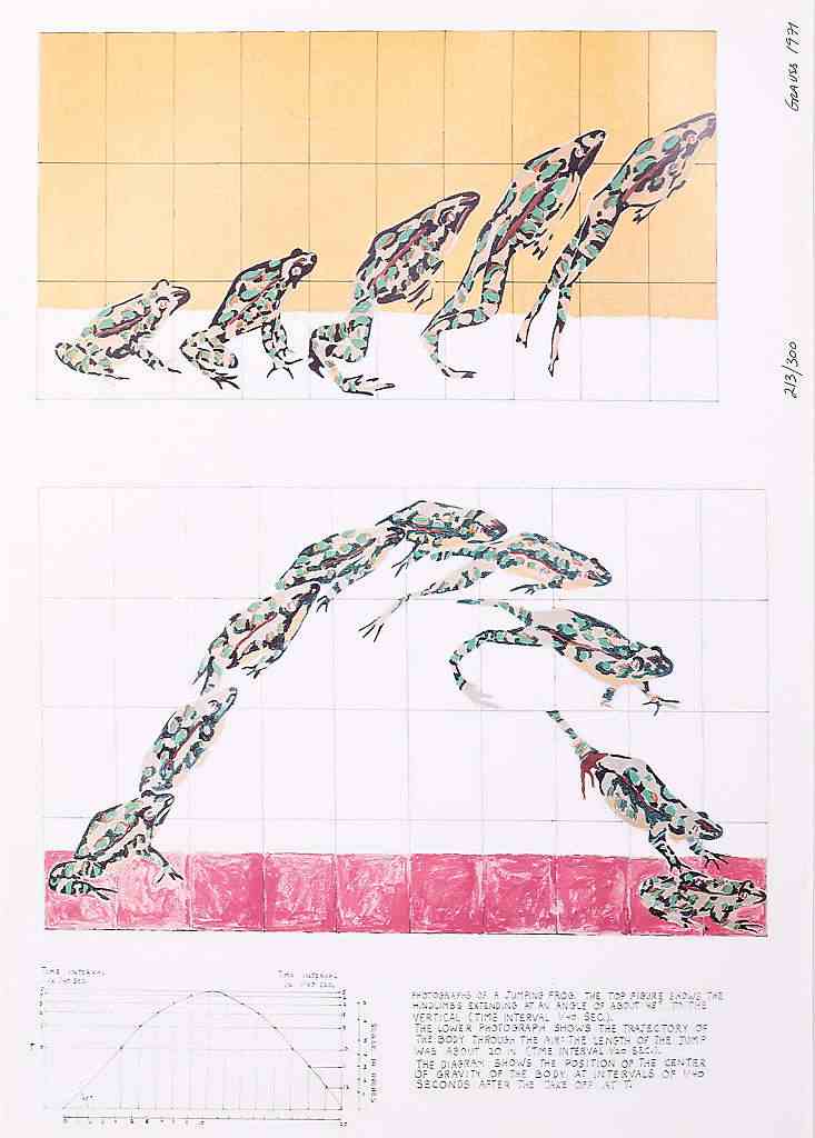 Photographs of a jumping frog
